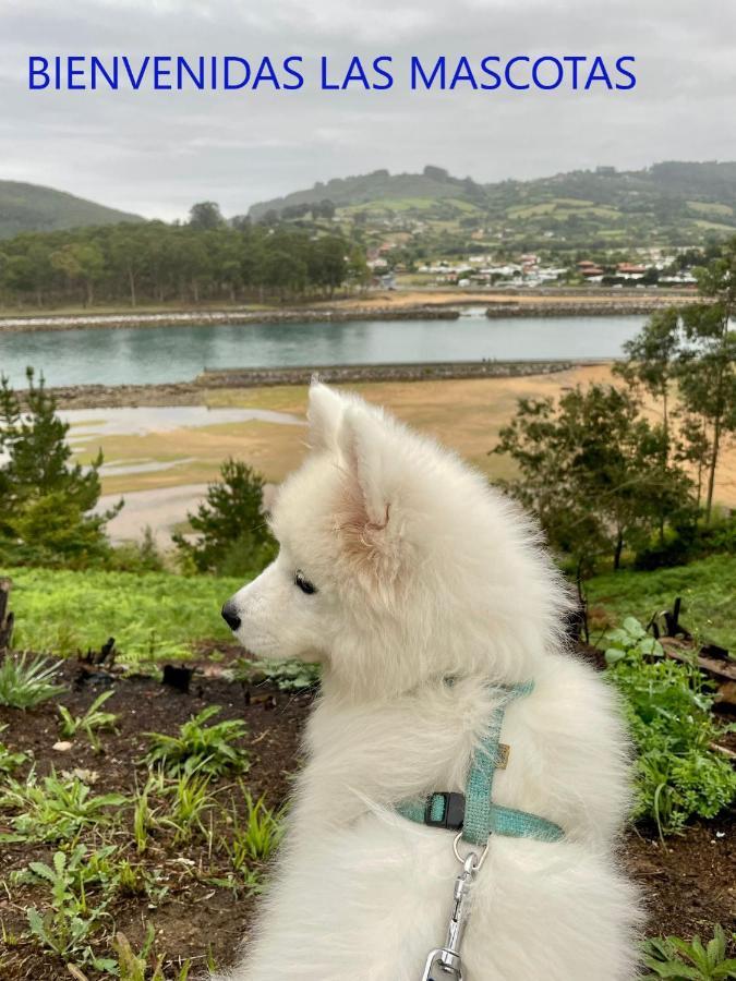 Playa Del Puntal Villaviciosa Asturias Lujo Primera Linea Playa Εξωτερικό φωτογραφία